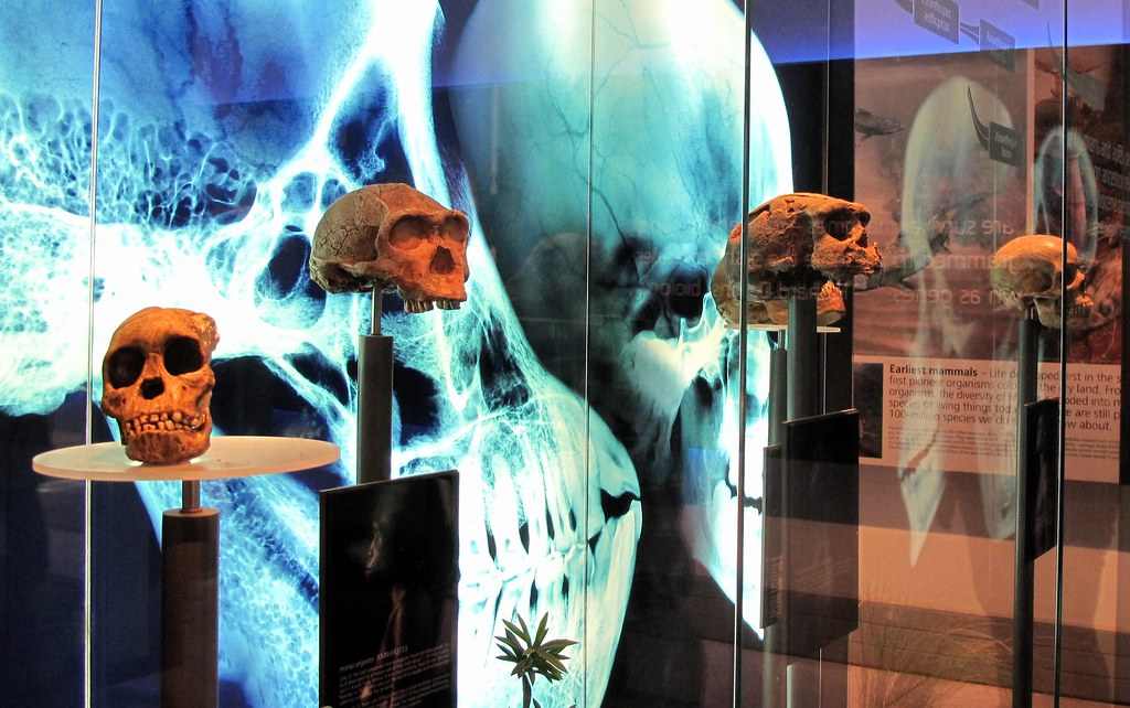 Maropeng Cradle of Humankind Museum & Sterkfontein Cave