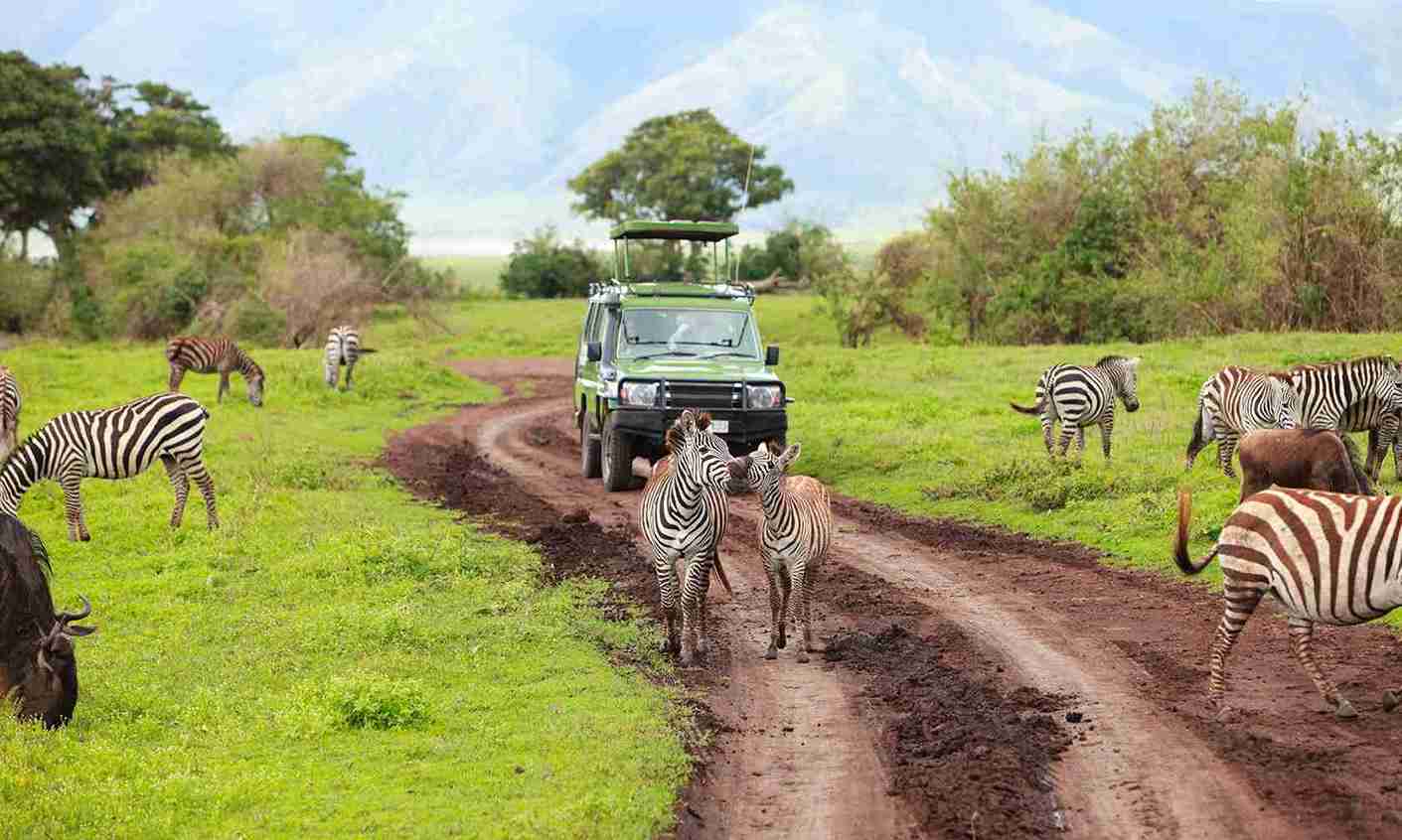 Hluhluwe Imfolozi Big 5 Game Reserve Tour