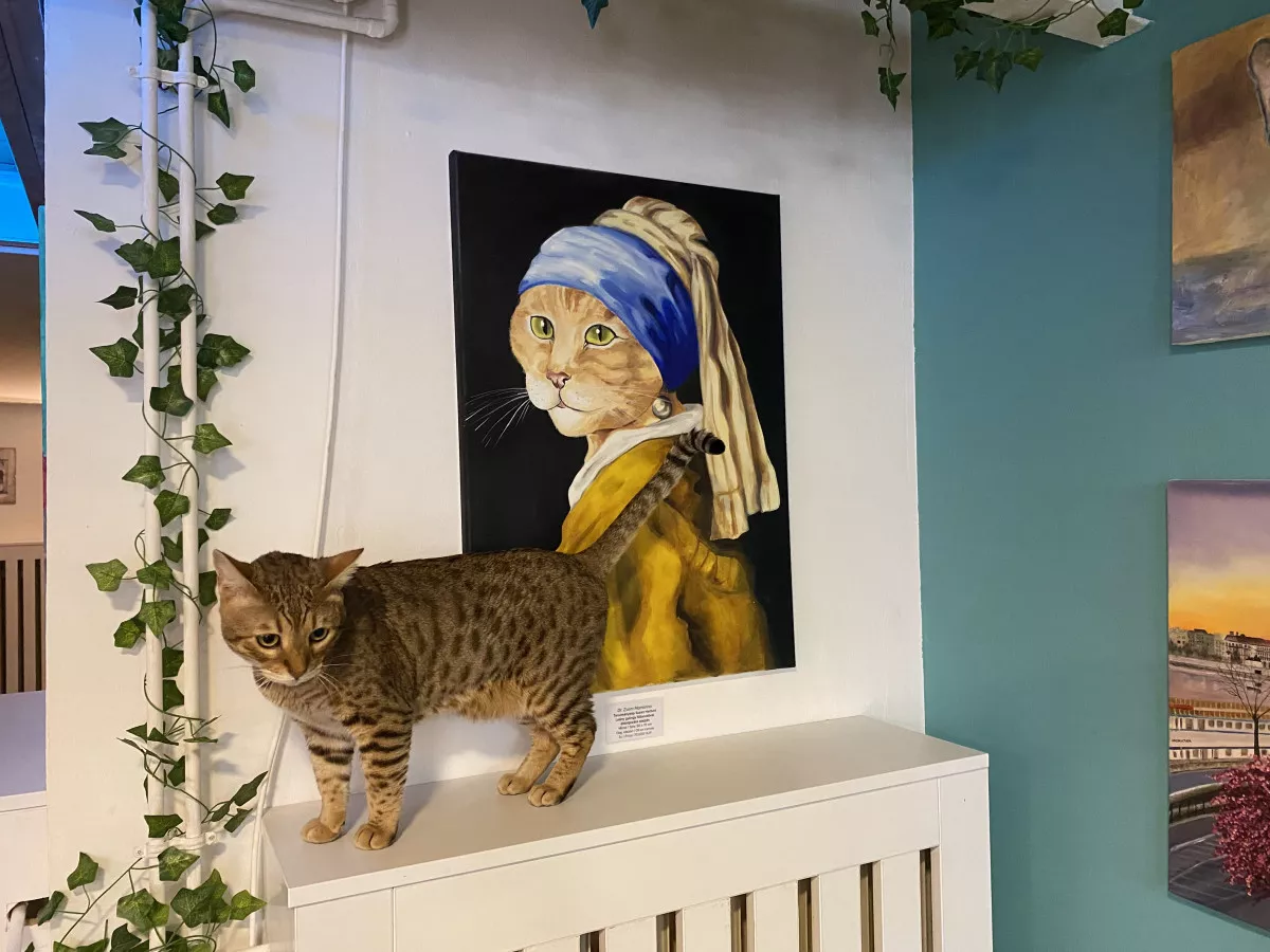  Cat Museum Budapest
