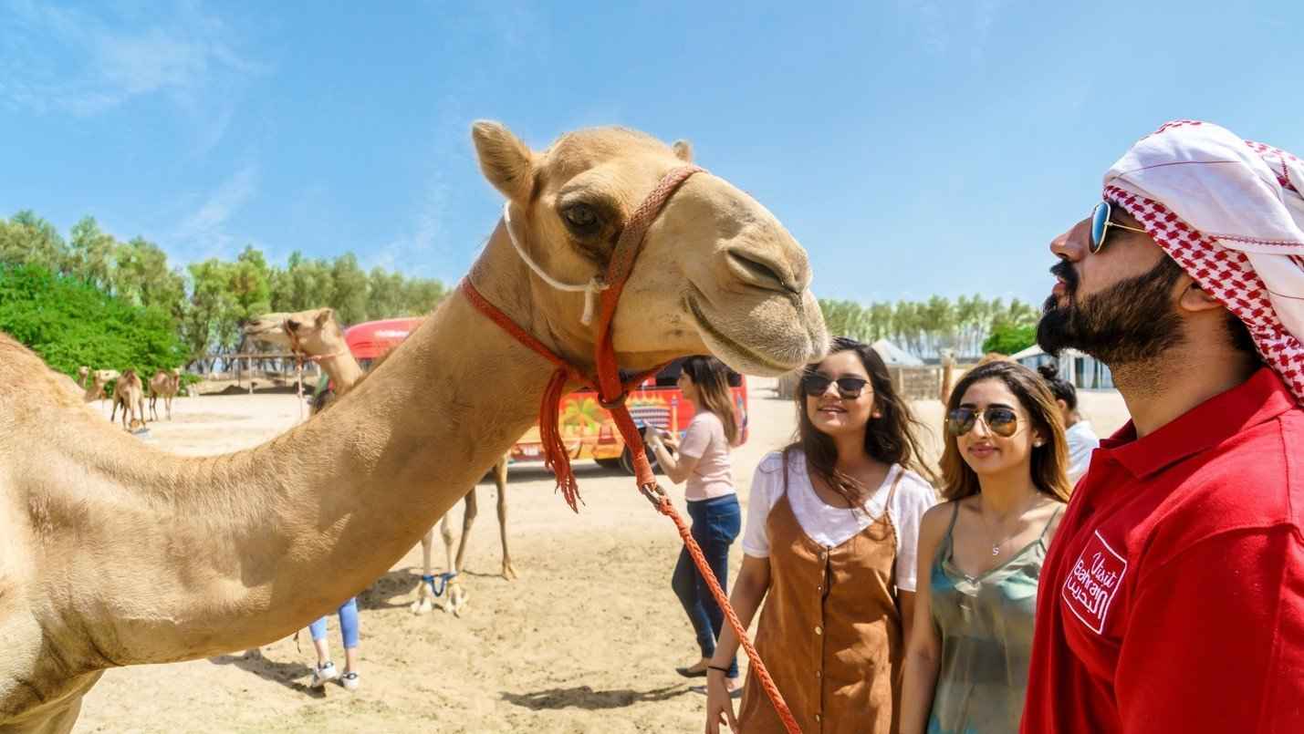 Bahrain City and Desert Tour
