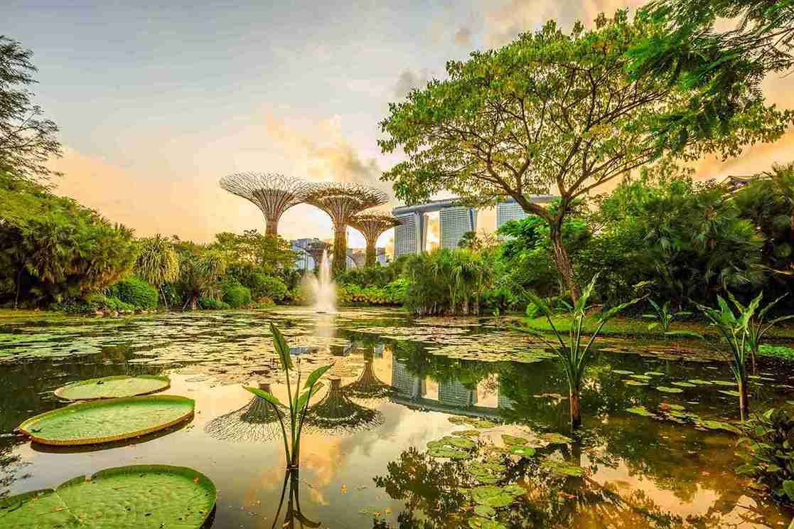 Gardens by the Bay